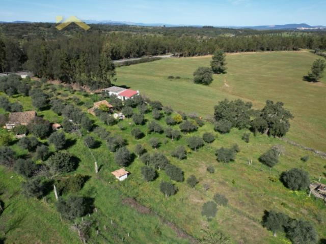 Quinta venda em Castelo Branco, Idanha-a-nova