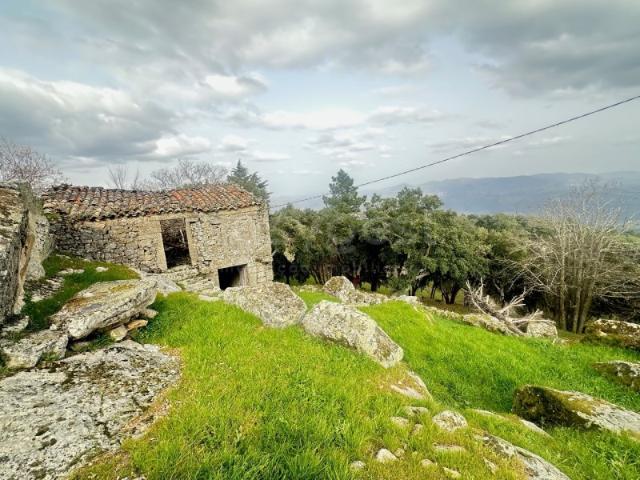 Quinta venda em Torre De Moncorvo, Bragança