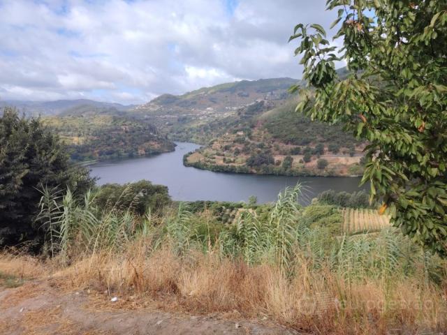 Quinta venda em Resende, Barrô