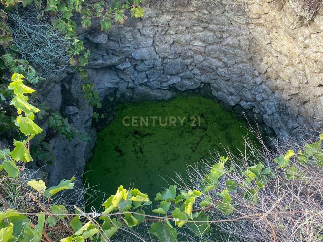 Terreno venda em Castelo Branco
