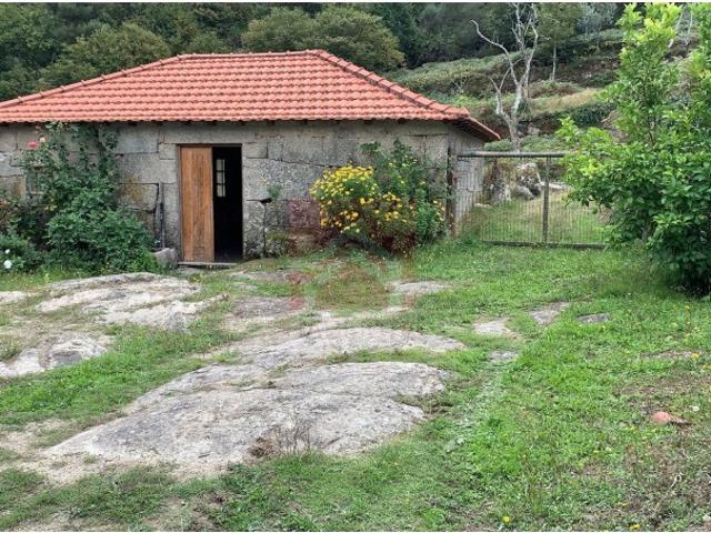 Quinta venda em Cinfães, Viseu