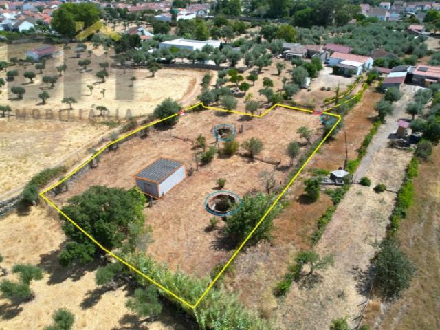 Quinta venda em Castelo Branco