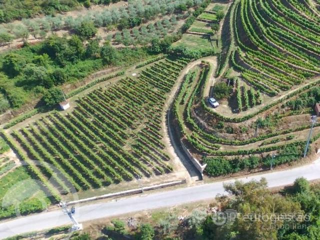 Quinta venda em Lamego, Viseu