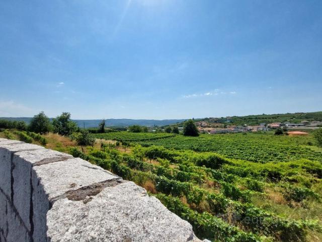 Quinta venda em Lamego, Viseu