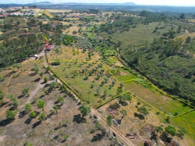Terreno venda em Castelo Branco