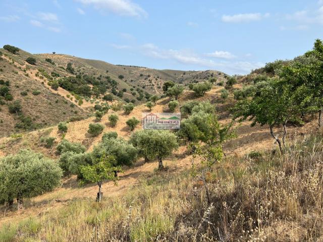 Quinta venda em Alfândega Da Fé, Bragança