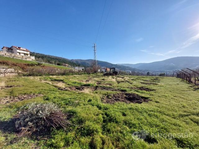 Quinta venda em Tarouca, Viseu
