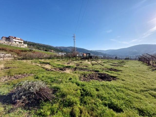 Casa venda em Tarouca, Viseu