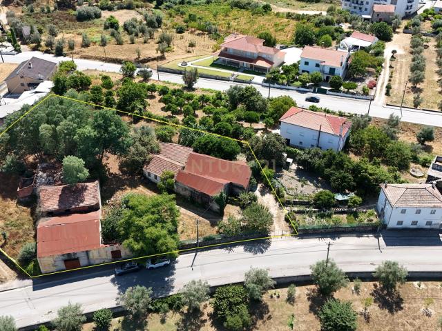 Quinta venda em Nelas