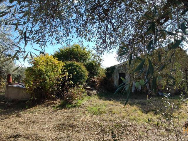 Quinta venda em Castelo Branco, Idanha-a-nova