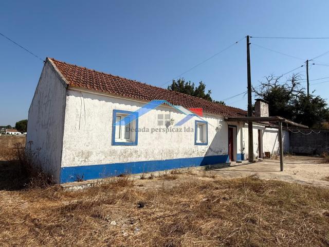 Quinta venda em Bairro Novo, Coruche