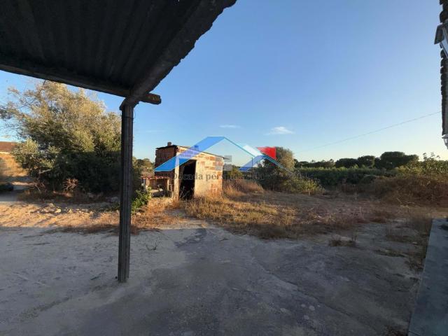 Quinta venda em Coruche, Santarém