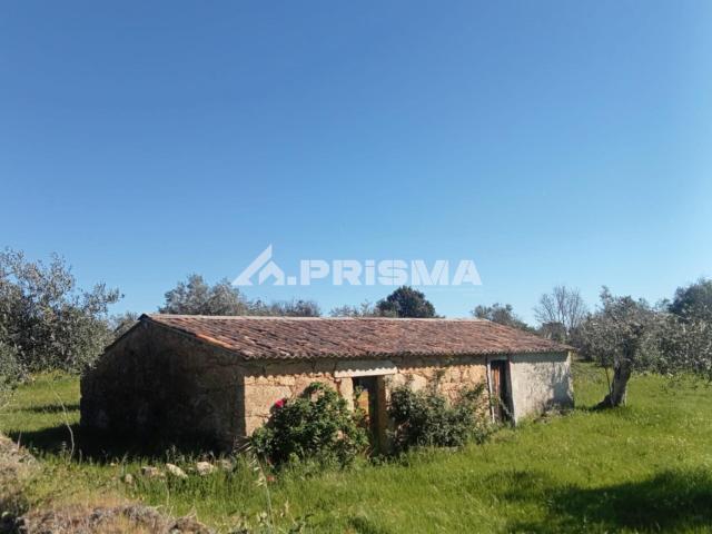 Quinta venda em Castelo Branco