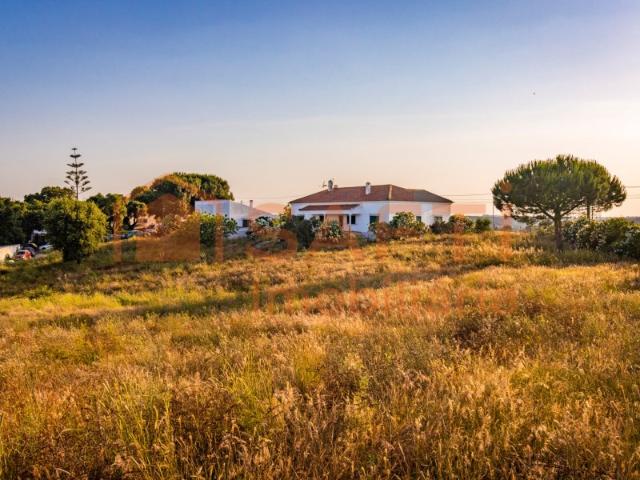 Quinta venda em Cartaxo, Santarém