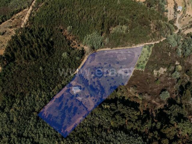 Quinta venda em Castelo Branco