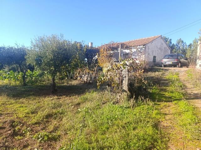 Quinta venda em Castelo Branco, Aldeia Nova Do Cabo