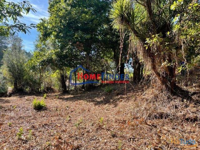 Quinta venda em Póvoa De Lanhoso, Braga