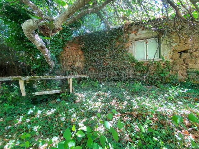 Quinta venda em Castelo Branco, Aldeia Nova Do Cabo