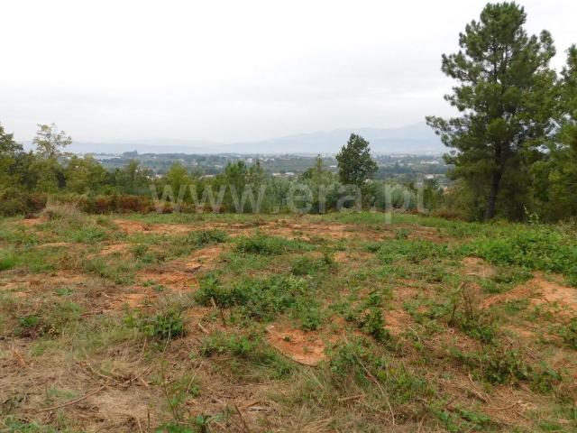 Terreno venda em Castelo Branco, Aldeia Nova Do Cabo