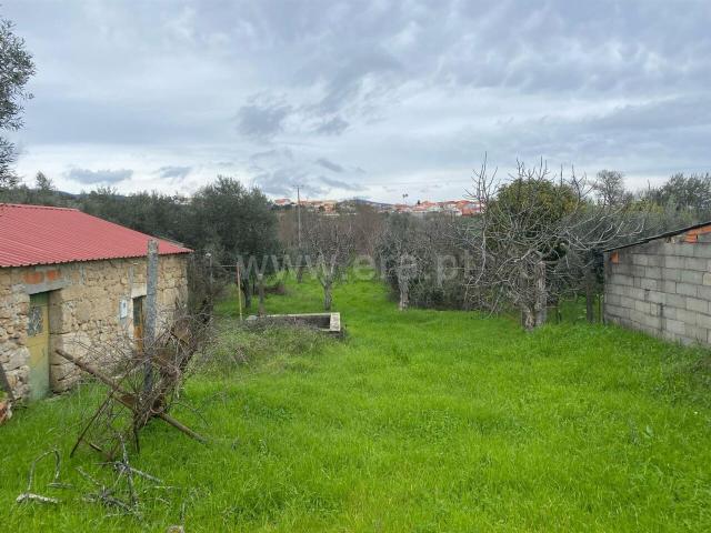 Quinta venda em Castelo Branco, Aldeia Nova Do Cabo