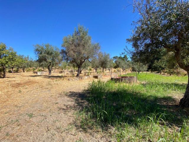 Quinta venda em Castelo Branco, Aldeia Nova Do Cabo