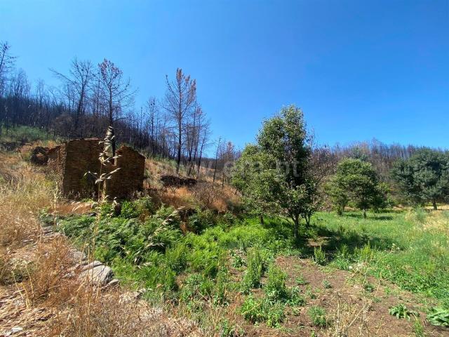 Quinta venda em Castelo Branco, Aldeia Nova Do Cabo