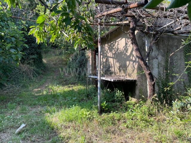 Quinta venda em Castelo Branco, Aldeia Nova Do Cabo