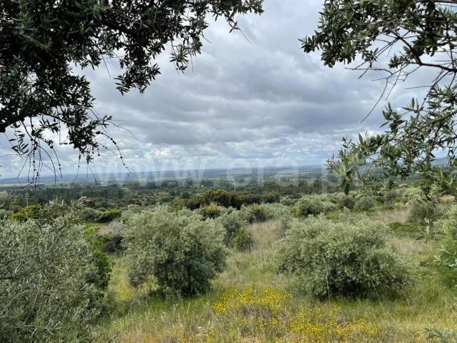 Quinta venda em Castelo Branco, Aldeia Nova Do Cabo