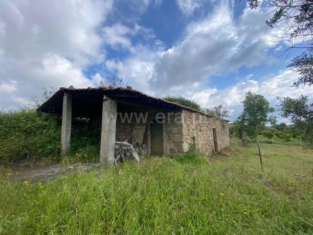 Quinta venda em Castelo Branco, Aldeia Nova Do Cabo