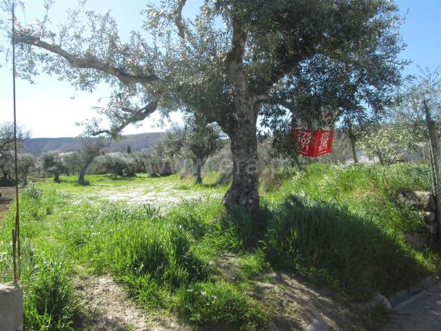 Quinta venda em Castelo Branco, Aldeia Nova Do Cabo