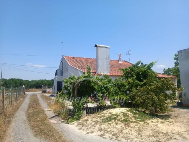 Quinta venda em Grândola, Setúbal