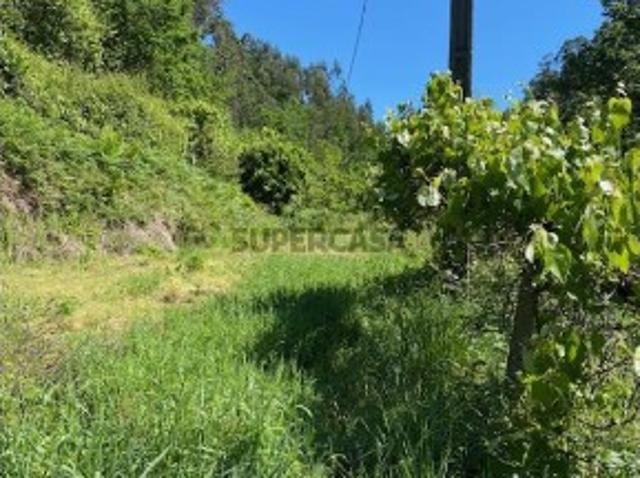 Terreno venda em Sever Do Vouga, Aveiro