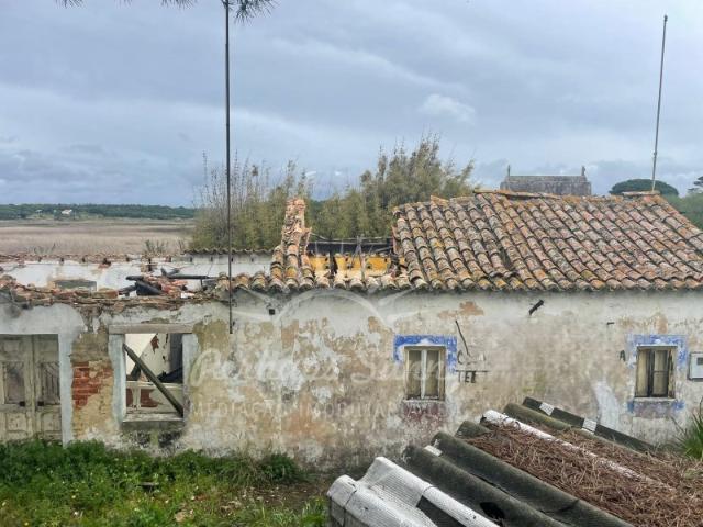 Terreno venda em Grândola, Setúbal