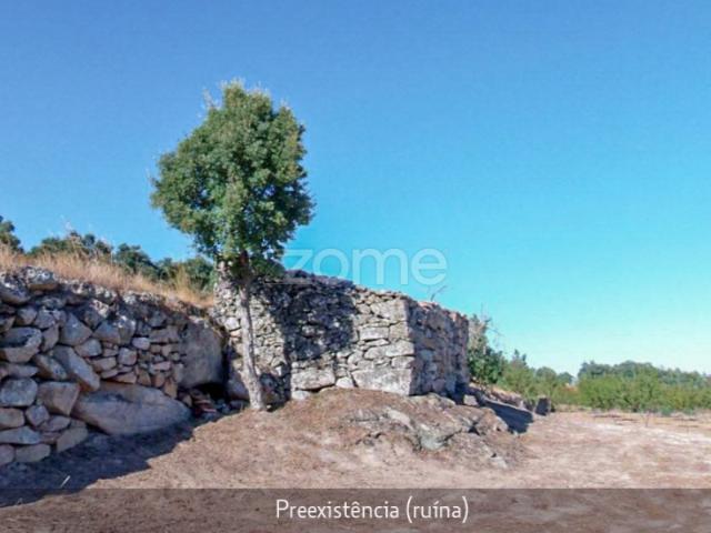 Quinta venda em Torre De Moncorvo, Bragança