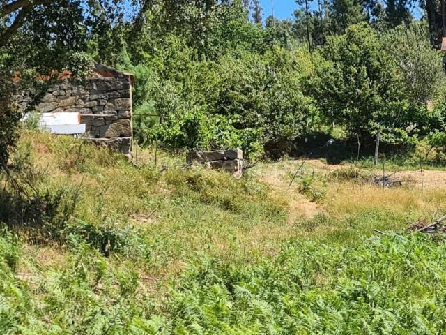 Quinta venda em Penha Longa, Porto