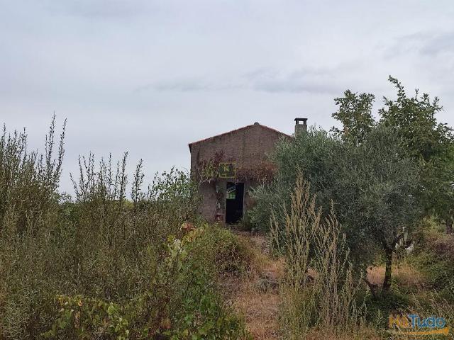 Quinta venda em Castelo Branco, Penamacor