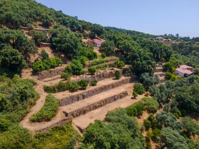 Casa venda em Monchique