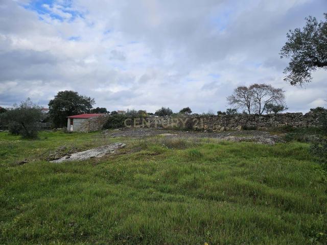 Terreno venda em Castelo Branco