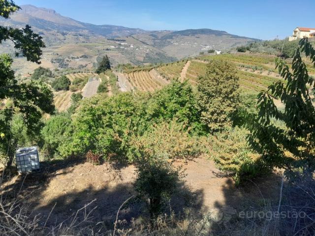 Quinta venda em Lamego, Viseu