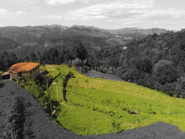 Quinta venda em Parada Do Bouro, Braga