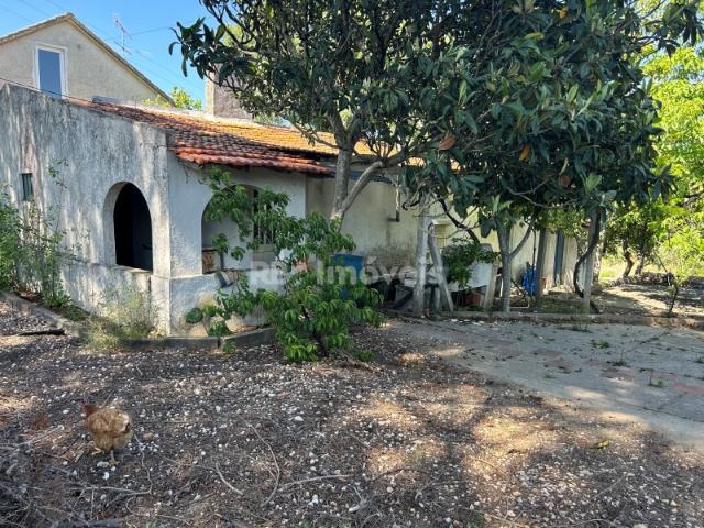 Quinta venda em Tomar, Santarém
