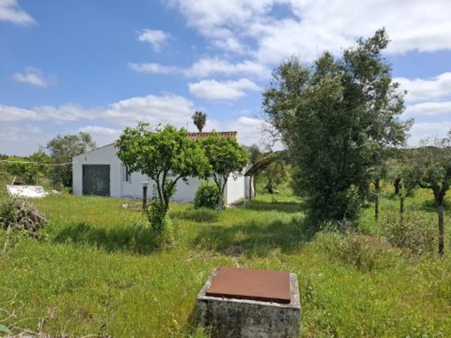 Casa venda em Coruche, Branca