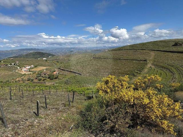 Quinta venda em Nagoselo Do Douro, Viseu