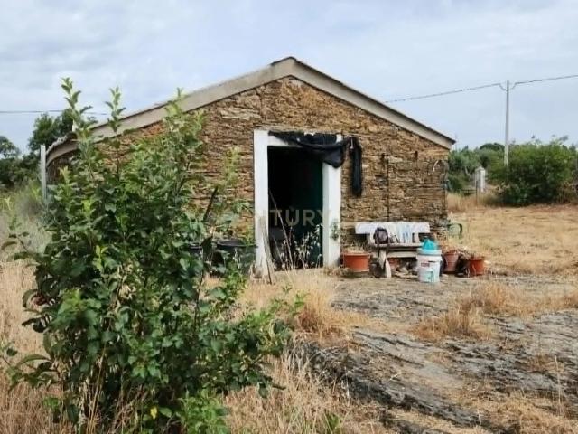 Quinta venda em Castelo Branco