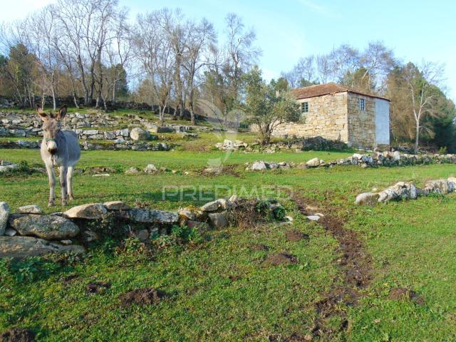Casa venda em Moçães, Vila Real
