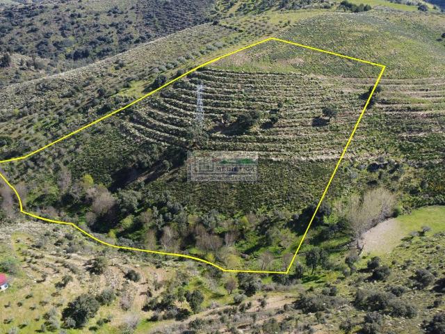 Quinta venda em Alfândega Da Fé, Bragança