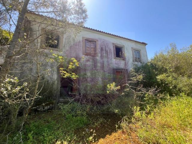 Quinta venda em Madalena e Beselga, Tomar