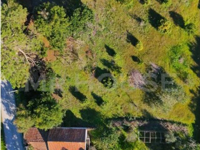 Quinta venda em Leiria