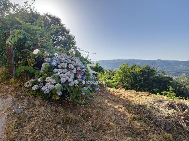 Quinta venda em Grovelas São João Evangelista, Viana Do Castelo
