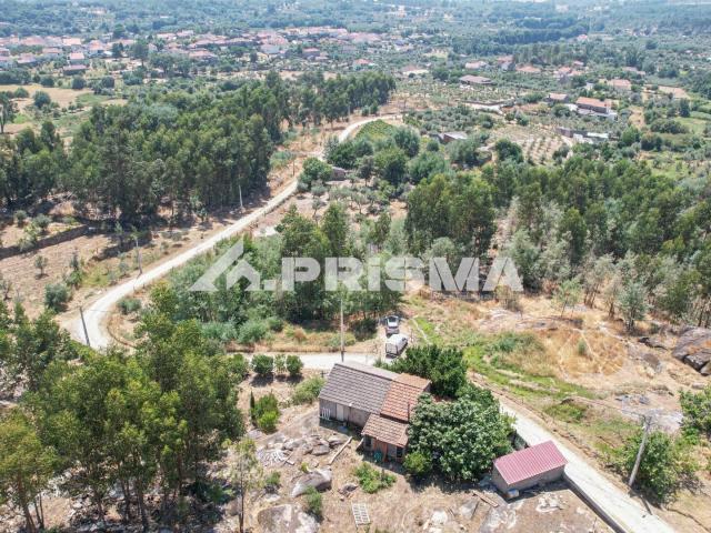 Quinta venda em Castelo Branco